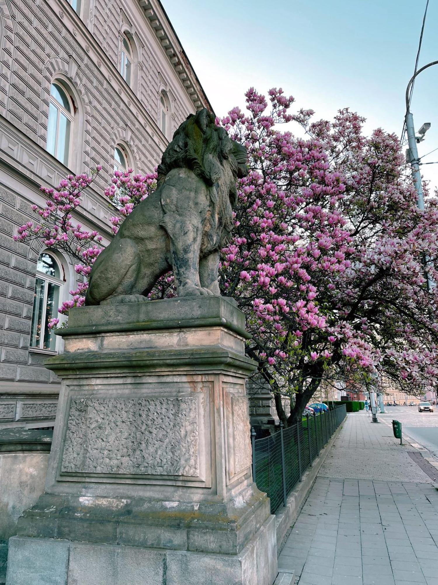 Pension Moravia Olomouc Exteriör bild